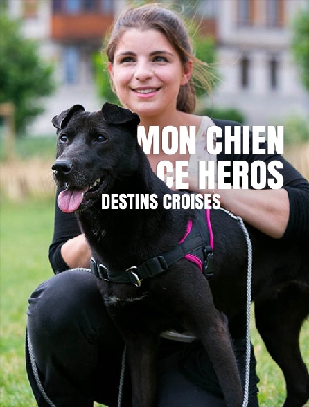 Mon chien, ce héros : destins croisés