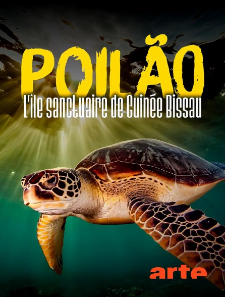 Arte - Poilão, l'île sanctuaire de Guinée-Bissau