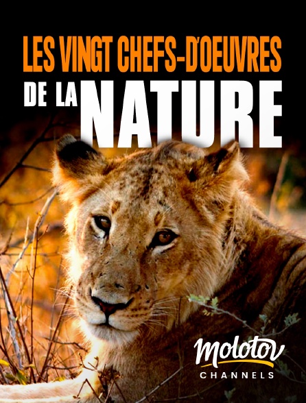 Molotov channels - Les vingt chefs-d'œuvre de la nature