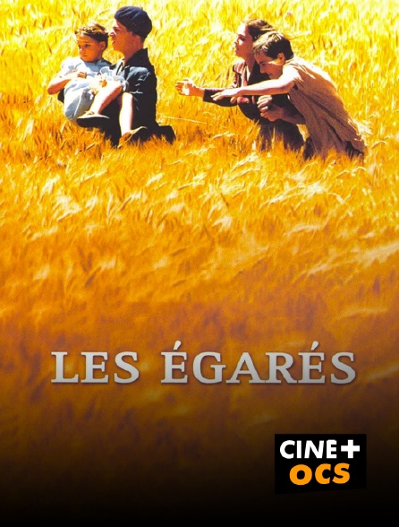 CINÉ Cinéma - Les égarés