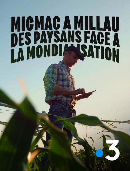 France 3 - Micmac à Millau : des paysans face à la mondialisation