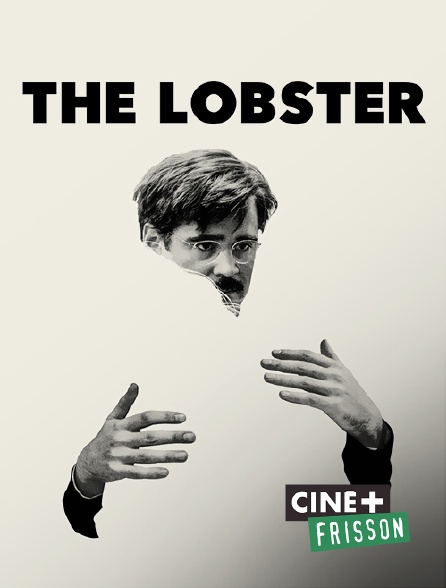 Ciné+ Frisson - The Lobster