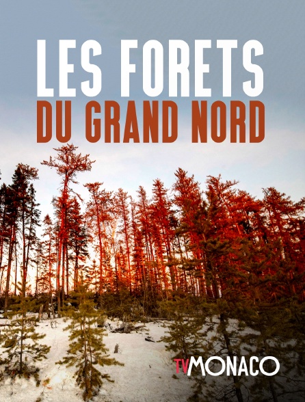 TV Monaco - Les forêts du Grand Nord