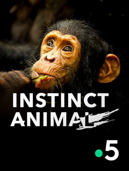 France 5 - Instinct animal en replay