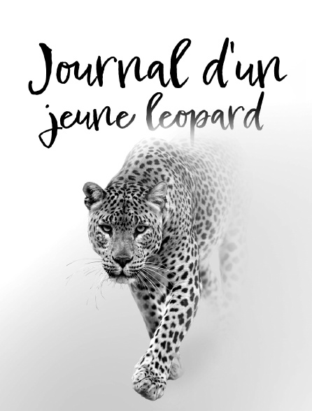Journal d'un jeune léopard