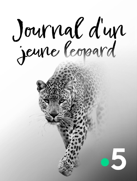 France 5 - Journal d'un jeune léopard