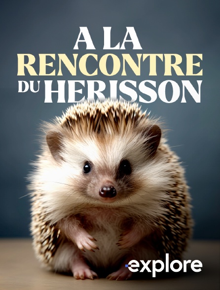 EXPLORE - A la rencontre du hérisson