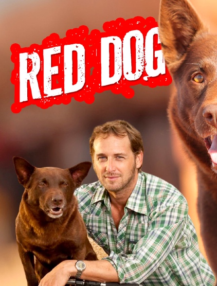 Red Dog