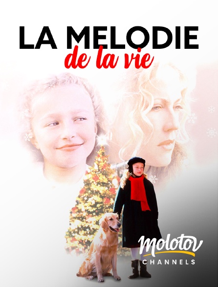 Mango - La mélodie de la vie