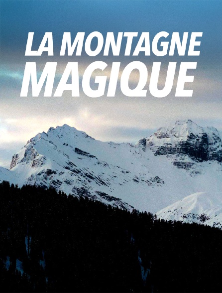 "La Montagne magique" : Thomas Mann et son roman emblématique