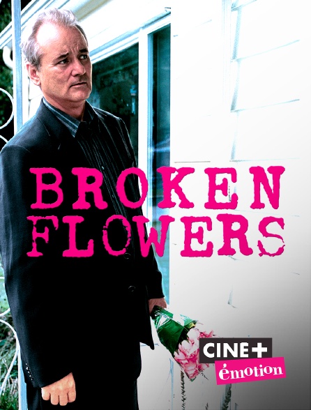 Ciné+ Emotion - Broken Flowers