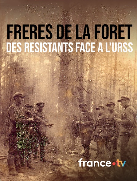 france.tv - Frères de la forêt, des résistants face à l'URSS