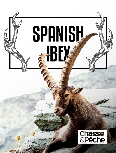 Chasse et pêche - Spanish ibex