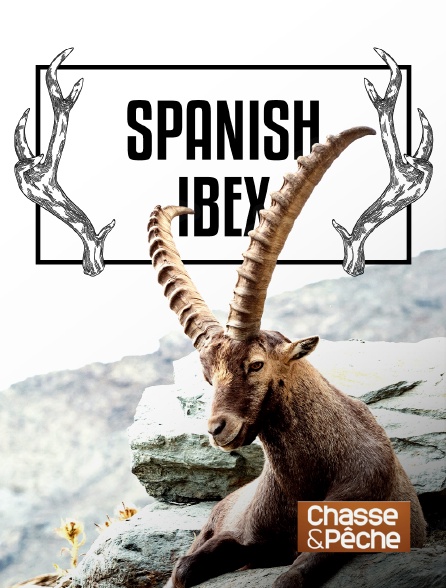 Chasse et pêche - Spanish ibex - 17/09/2024 à 09h21