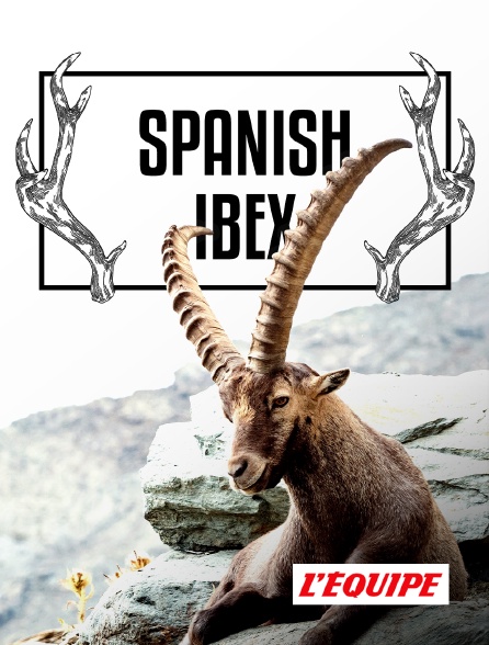 L'Equipe - Spanish ibex