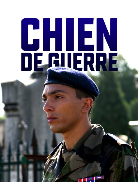 Chien de guerre