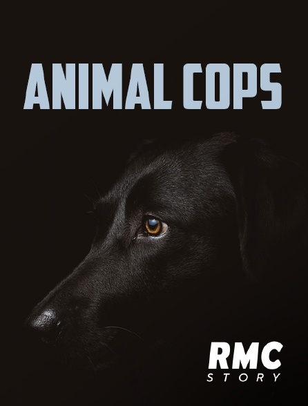 RMC Story - Animal Cops