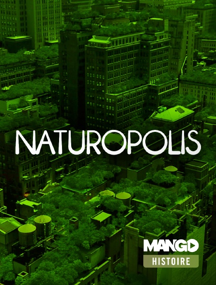 MANGO Histoire - Naturopolis