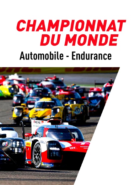 Automobile - Endurance : Championnat du monde