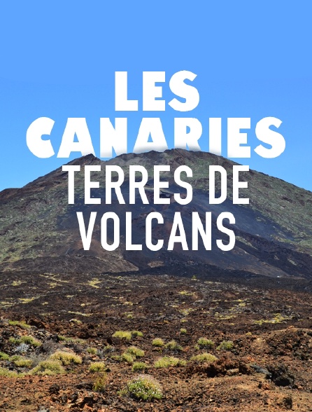 Les Canaries, terres de volcans
