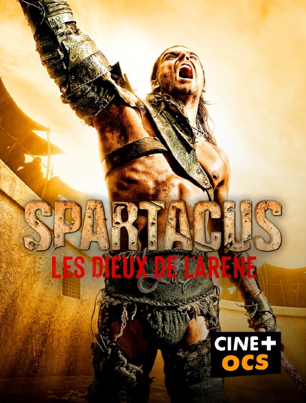 CINÉ Cinéma - Spartacus en replay