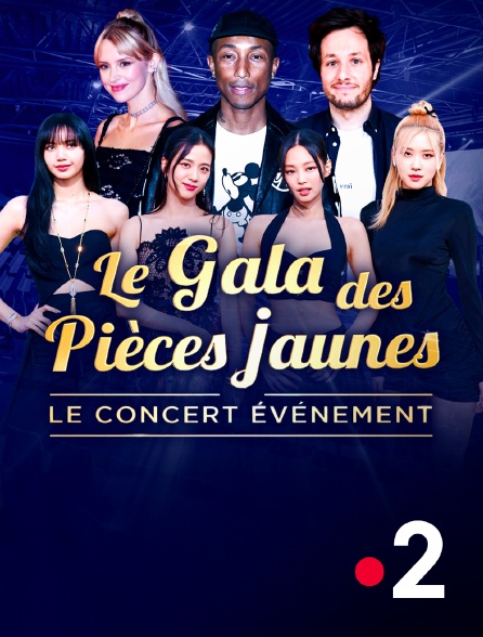 France 2 - Le gala des Pièces jaunes : le concert événement