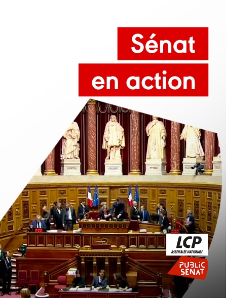 LCP Public Sénat - Sénat en action