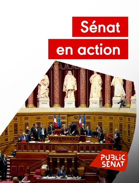Public Sénat - Sénat en action