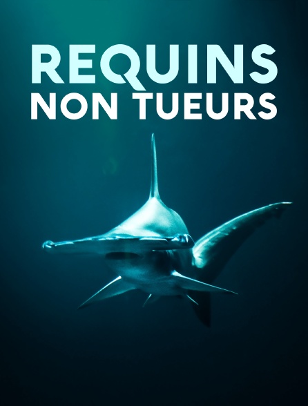 Requins non tueurs