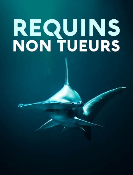 Requins non tueurs