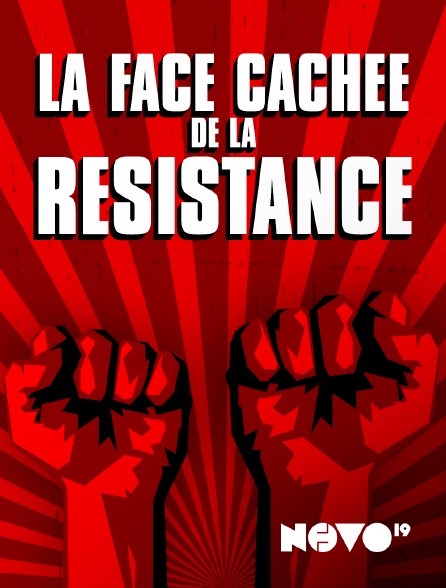 Novo 19 - La face cachée de la Résistance