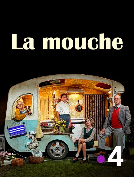 France 4 - La Mouche