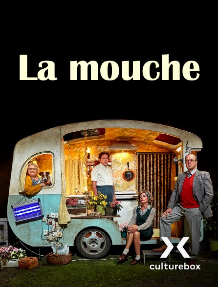 Culturebox - La Mouche