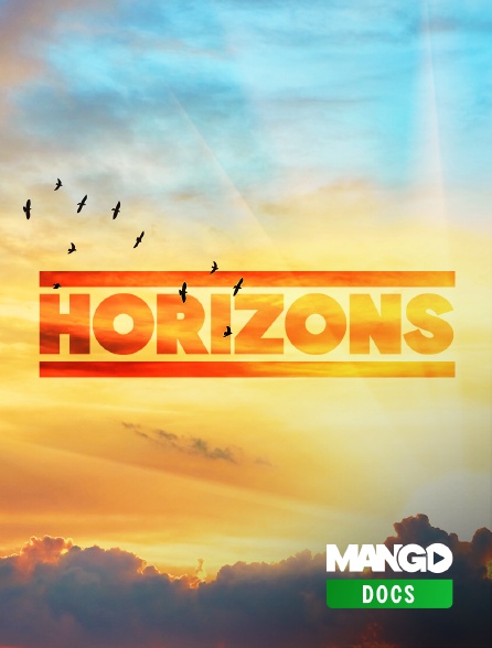 MANGO Docs - Horizons