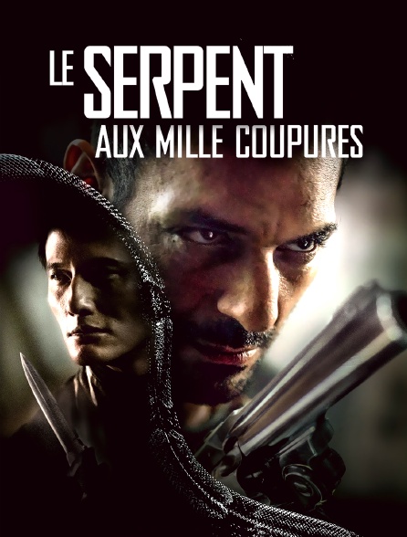 Le Serpent aux mille coupures (Eric Valette - 2017) Jpg