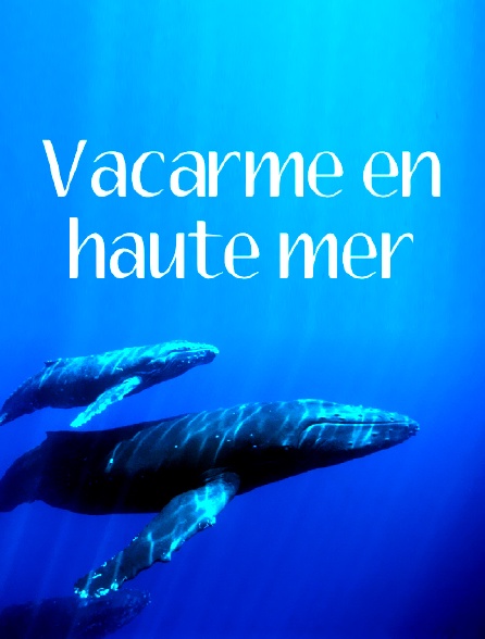 Vacarme en haute mer
