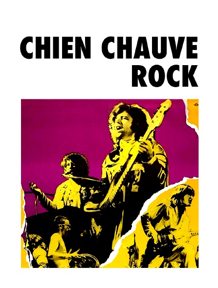 Chien chauve rock