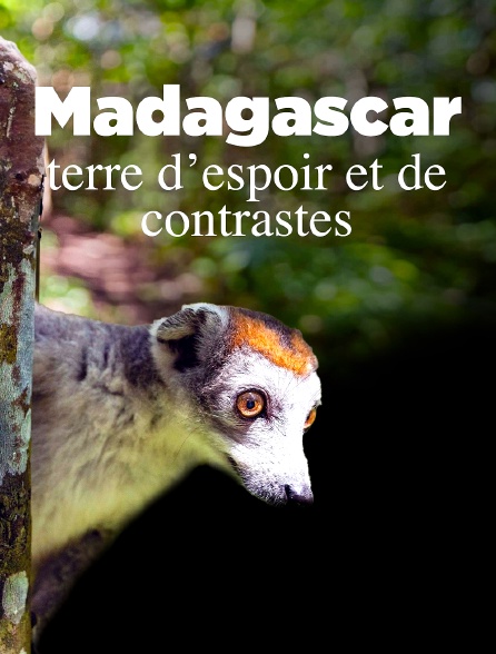 Madagascar, terre d'espoir et de contrastes