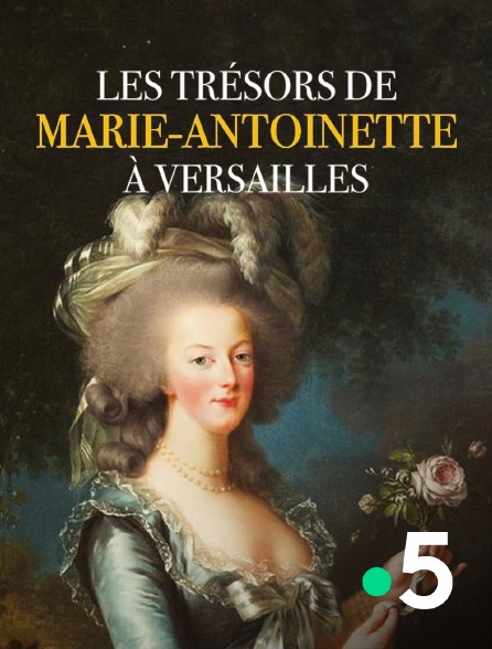 France 5 - Les trésors de Marie-Antoinette à Versailles
