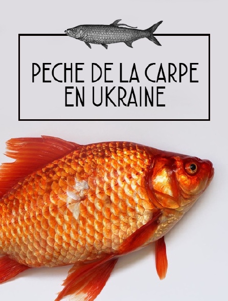 Pêche de la carpe en Ukraine