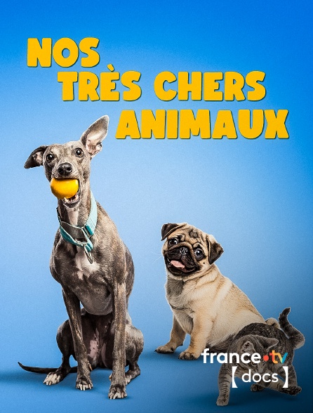 France TV Docs - Nos très chers animaux