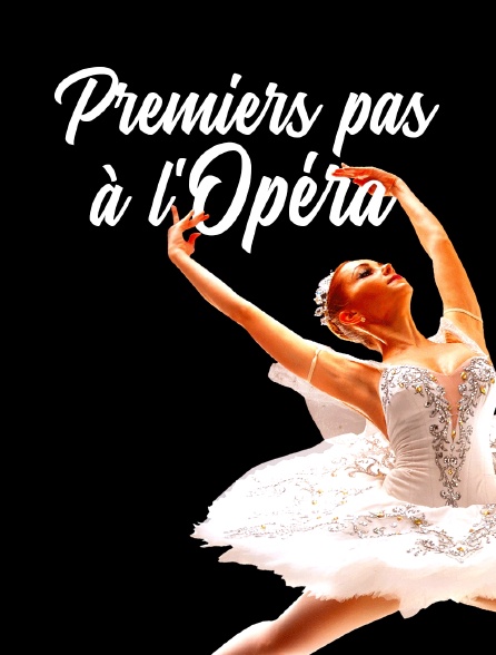 Premiers pas à l'opéra