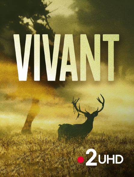 France 2 UHD - Vivant