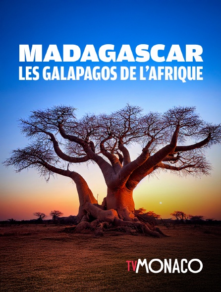 TV Monaco - Madagascar, les Galapagos de l'Afrique