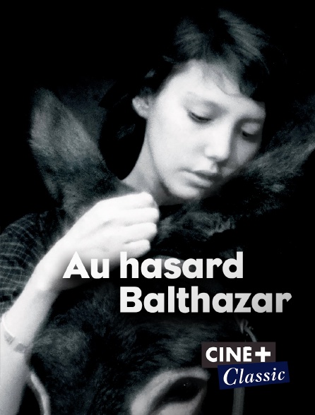 Ciné+ Classic - Au hasard Balthazar