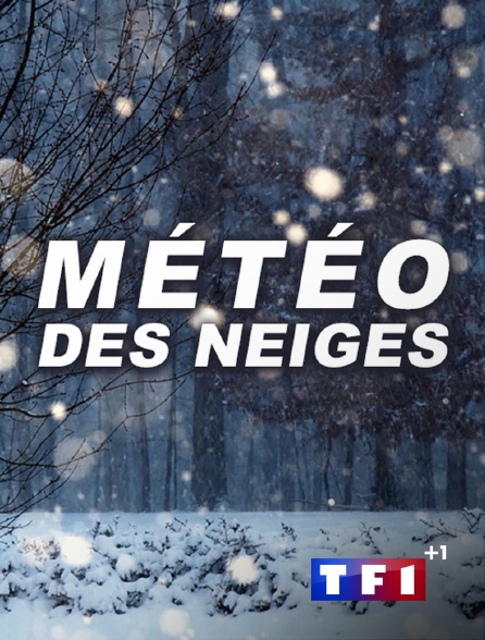 TF1 +1 - Météo des neiges