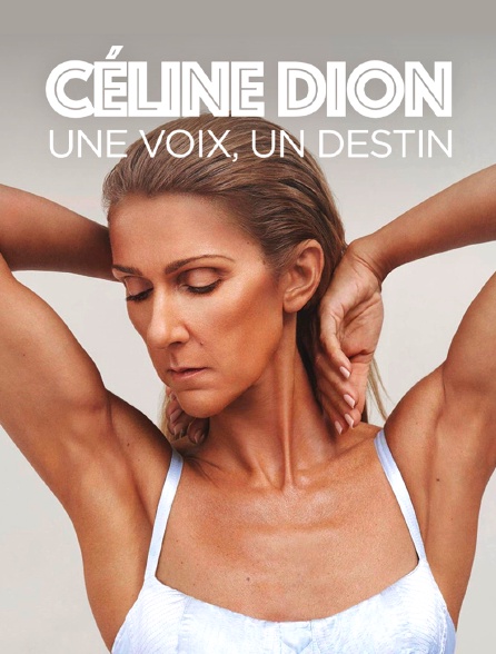 Céline Dion : une voix, un destin