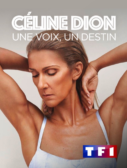 TF1 - Céline Dion : une voix, un destin