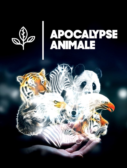 Apocalypse animale