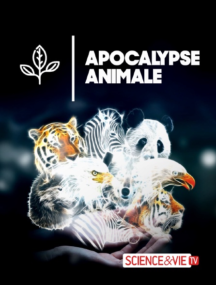 Science et Vie TV - Apocalypse animale